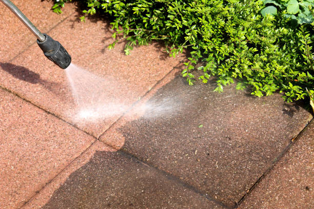 Best Exterior Home Cleaning  in Navy, VA